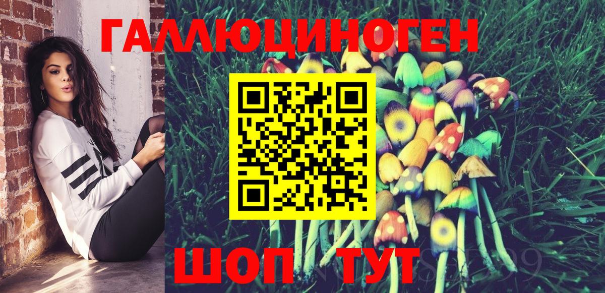 Галлюциногенные грибы Psilocybine cubensis  Вход с VPN  Горячий Ключ 